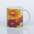 Großhandel Custom leere Sonne -Tassen Tassen Tasse weißer Keramik -Sublimation Kaffeetassen Tassen Tassen